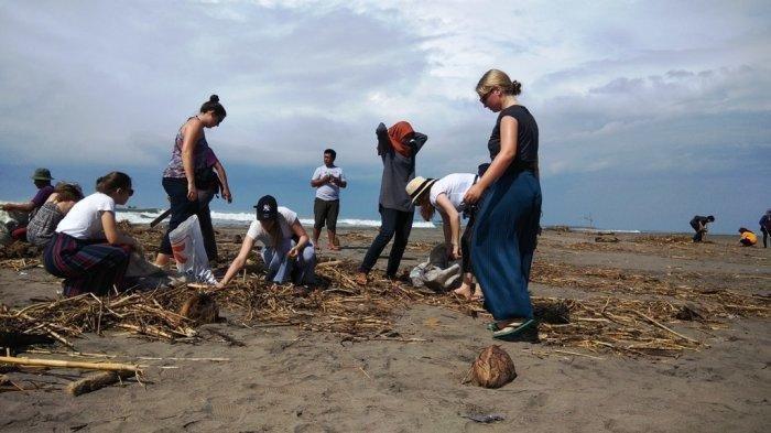 Bule-bule Asal Jerman Ikut Kerja Bakti Bersih Sampah di Pantai Parangkusumo Jogja