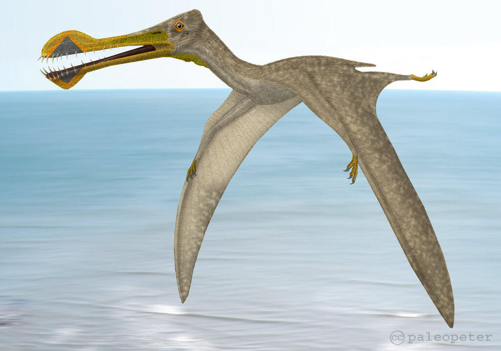 Para Reptil yang Dulunya Terbang Bareng Burung