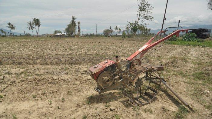 Jaringan Irigasi Masih Rusak Pascabencana, Pertanian di Sigi, Sulawesi Tengah Lumpuh