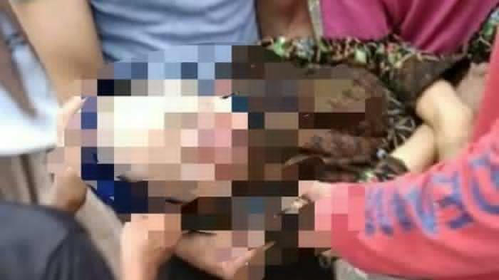 Nenek Ros Tewas Tertimpa Pohon Tumbang saat Tengah Menemani Cucunya Mencari Buah Seri