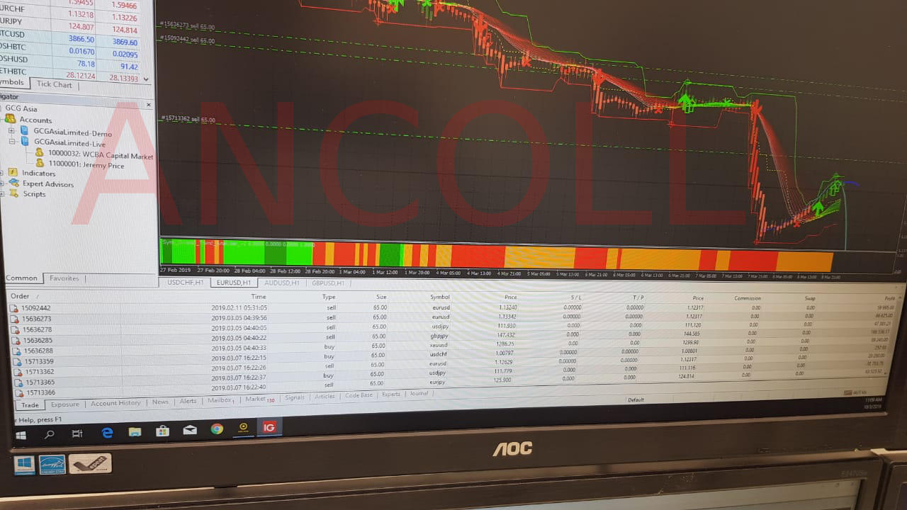 Options trading australia forum