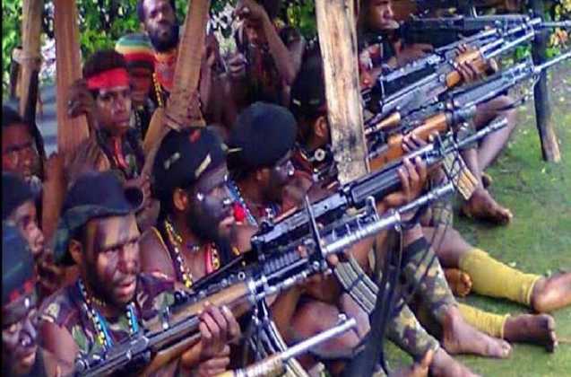 Pamer Senjata Rampasan Milik TNI, Pimpinan KKB Papua: Jokowi, Kami Tidak Takut