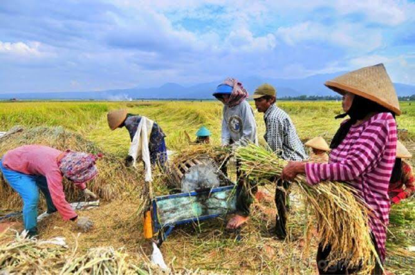 Alasan Mengapa Indonesia Harus Bersih Dari Korupsi