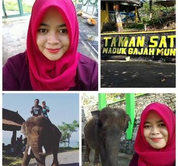 3 Kejadian TRAGIS Yang Disebabkan Oleh GAJAH, Ada VIDEO KEJADIAN nya