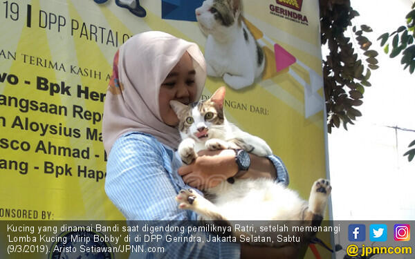 Meong! Bandi jadi Pemenang Lomba Kucing Mirip Milik Prabowo