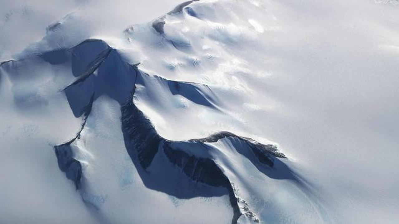 Ada Makhluk Menyeramkan hingga Ancam Hidup Manusia, Ini 4 Fakta Unik Antartika
