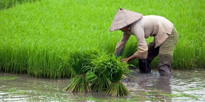 Petani miskin disebabkan Ketidakadilan Tata Niaga