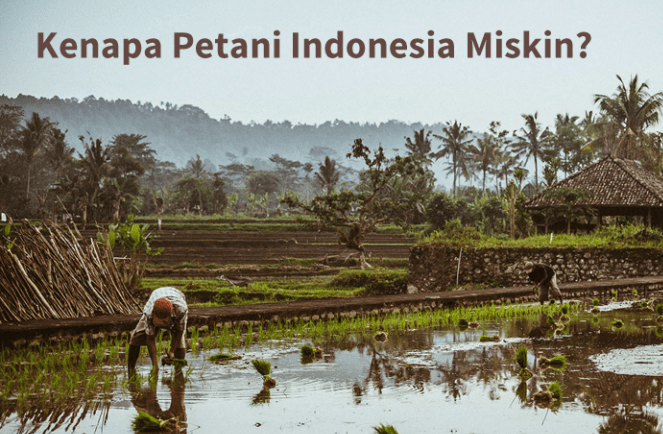 Petani miskin disebabkan Ketidakadilan Tata Niaga