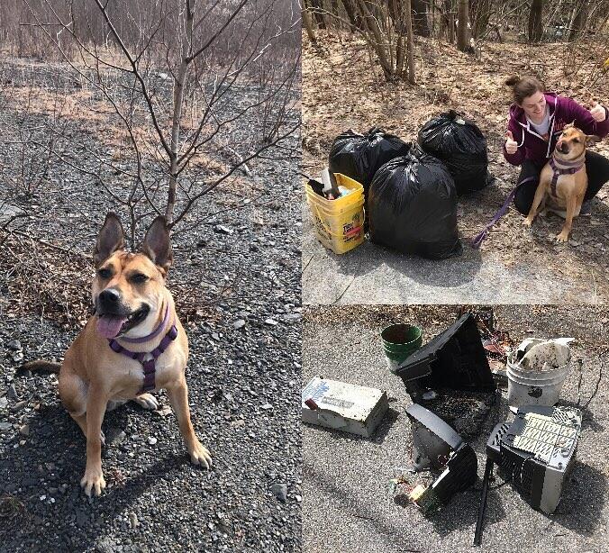 Trashtag, Challenge Baru yang Membawa Dampak Positif Bagi Bumi