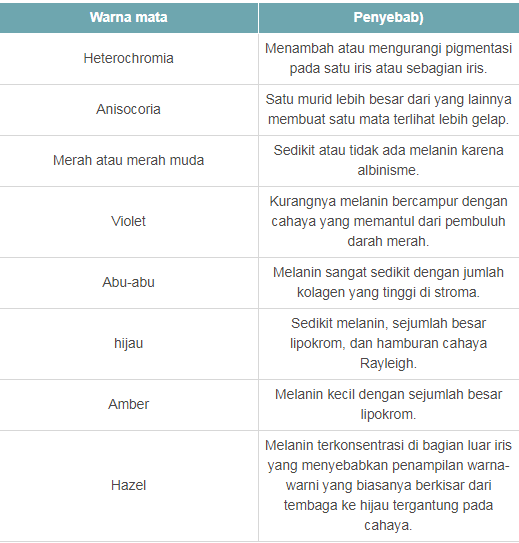 Mengenali 6 Jenis Warna Mata Yang Langka Dan Unik