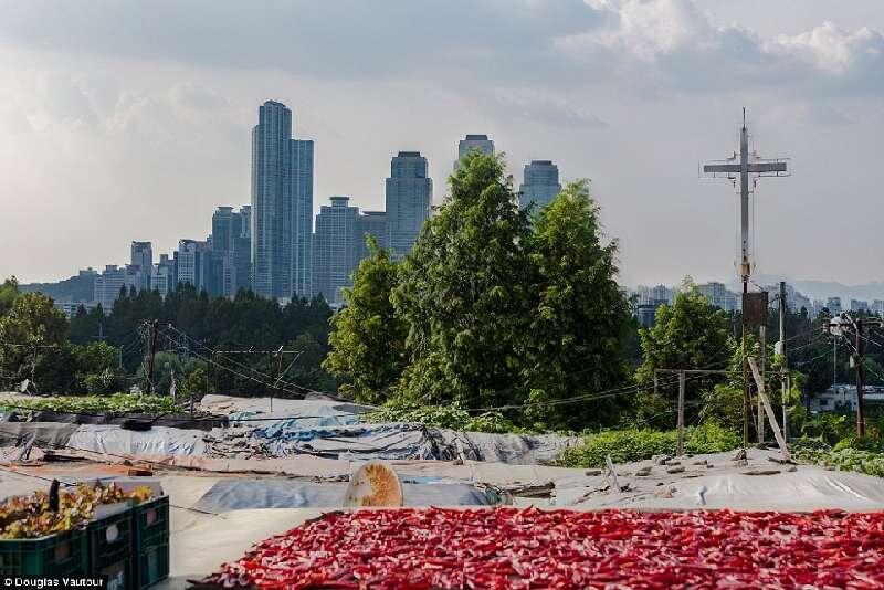 Guryong, Desa Kumuh yang Tersembunyi Dibalik Megahnya Seoul