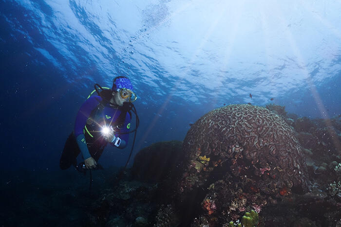 Kenapa Morotai Keren Banget?