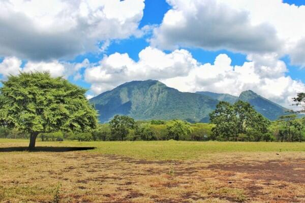 Bagai Bertualang di Afrika, Ini 7 Pesona Baluran yang Wajib Kamu Tahu