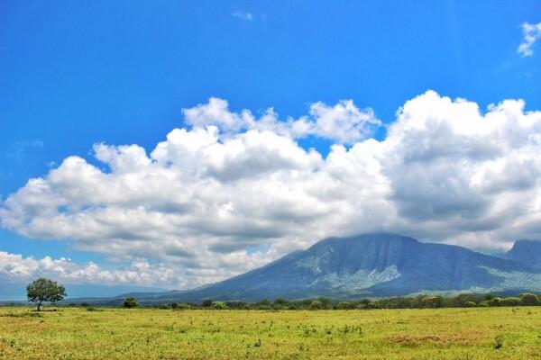 Bagai Bertualang di Afrika, Ini 7 Pesona Baluran yang Wajib Kamu Tahu