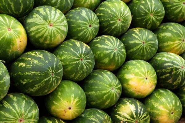 Catat! Ini 5 Buah di Pasaran yang Aman untuk Penderita Asam Lambung