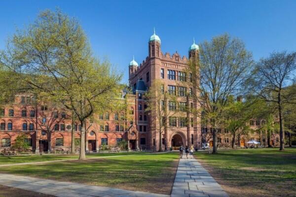 10 Ranking Universitas Terbaik 2019 di Amerika Serikat, Wajib Tahu!