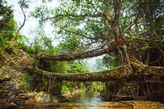 Keren Banget, 12 Jembatan Ini Jadi Paling Spektakuler di Dunia!