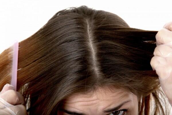 5 Manfaat Hebat Minyak Wijen untuk Rambut, Sudah Pernah Coba?