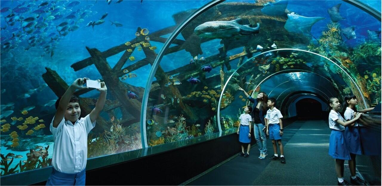 Saatnya Impian Jadi Nyata: 5 Destinasi Wisata Baru di Singapura