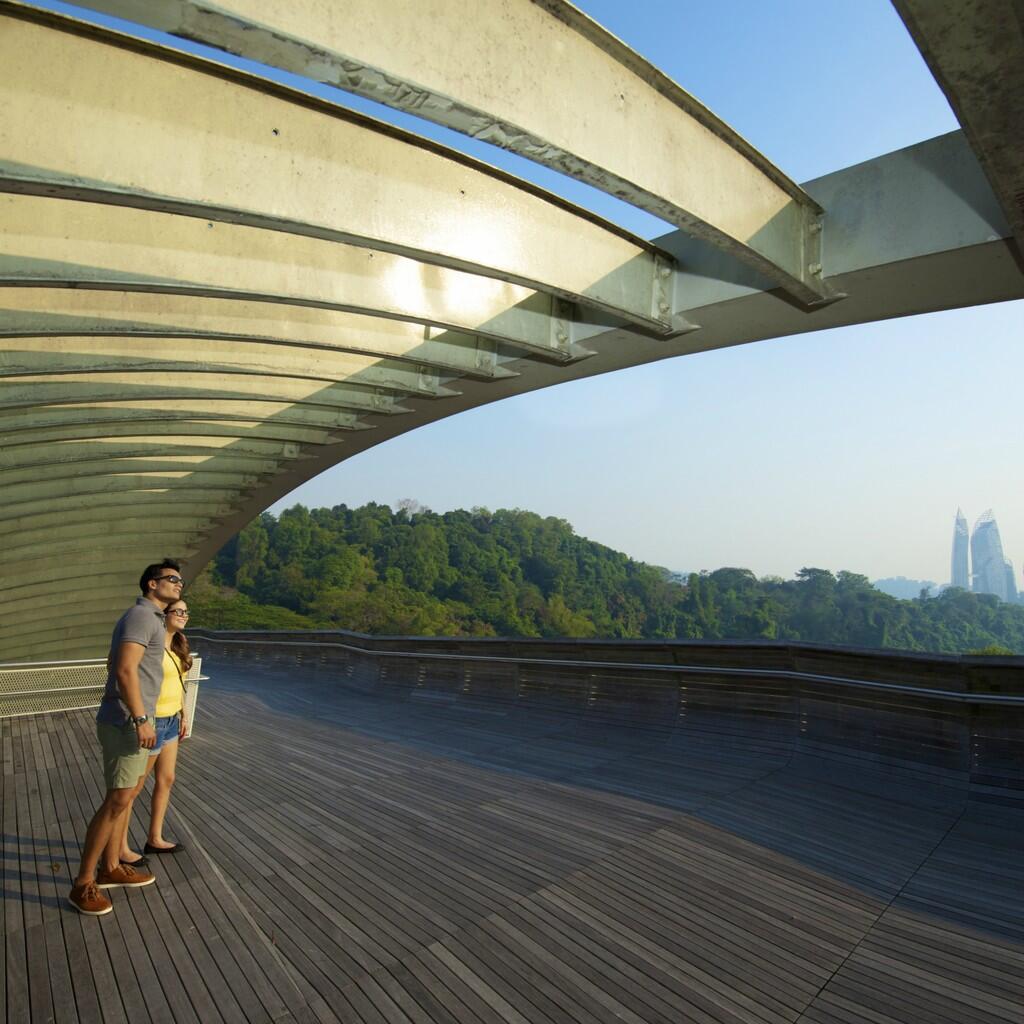 Indahnya Henderson Waves Bridge Singapore - Saatnya Impian Jadi Nyata