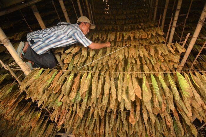 Ekspor Rokok dan Cerutu Naik Mengepul Hingga USD 931,6 Juta