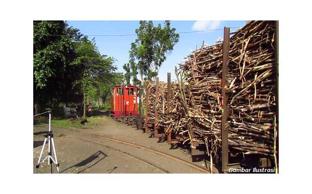 Tekan Volume Impor, Kemenperin Pacu Penumbuhan Industri Gula