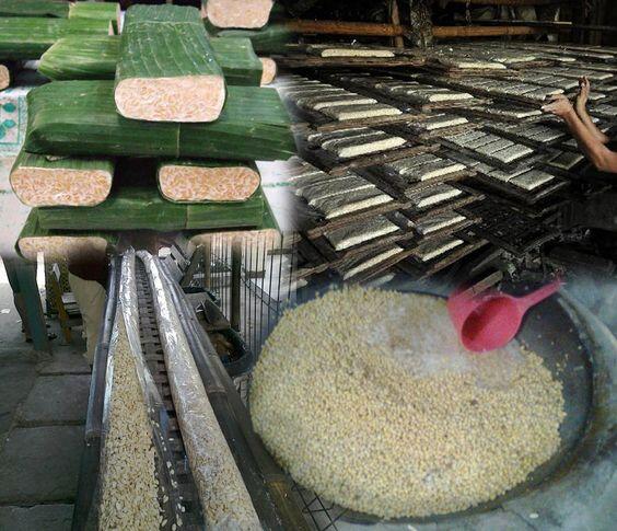 5 Kampung Paling Unik di Surabaya, Kamu Sudah Pernah ke Sini?