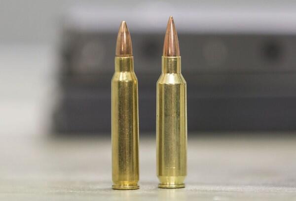 10 Fakta Senapan AR-15, Senjata Teroris Penembakan Masjid Christchurch