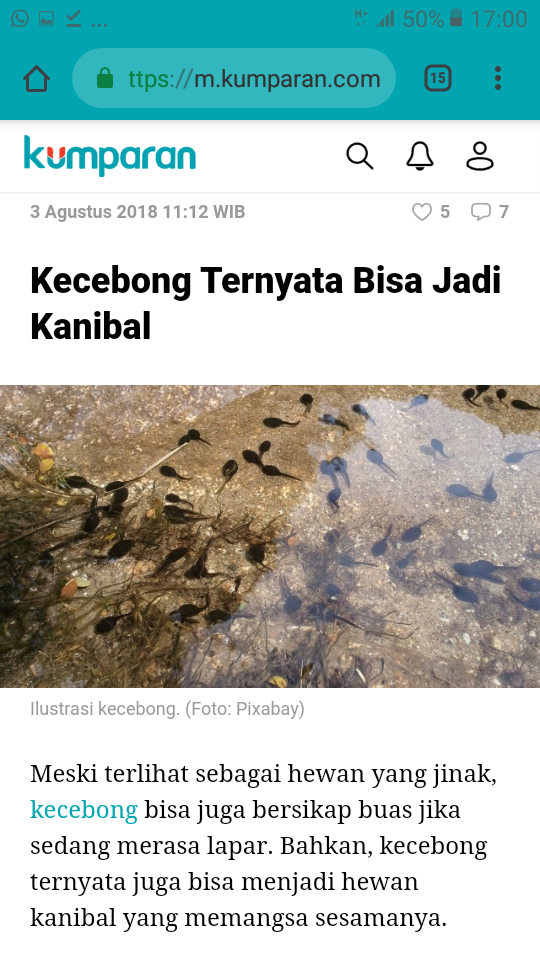 Grace Natalie Blusukan di Kandang Banteng