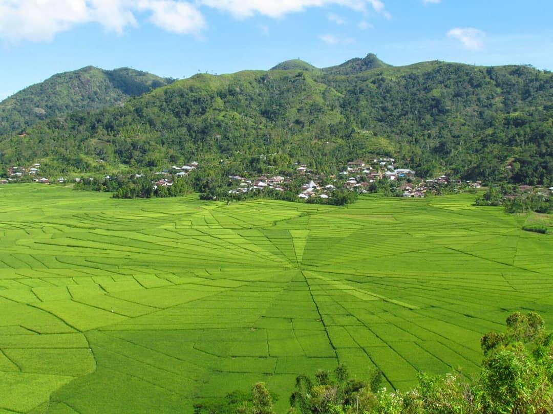 Komodo And Flores Island Tour