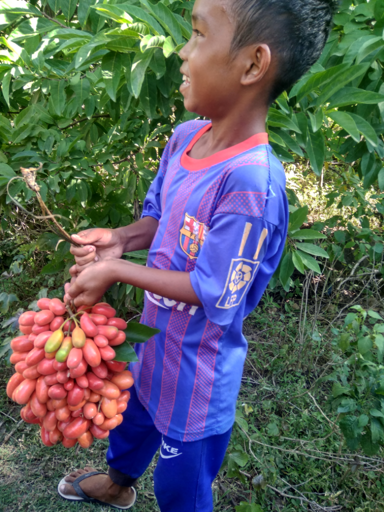 Nikmati Sensasi Berburu Buah Liar