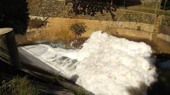 Setu Parigi di Tangerang Selatan Dipenuhi Buih Putih