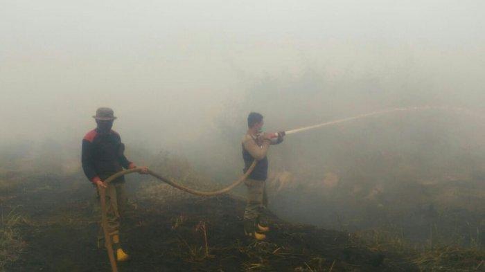 Senin Pagi Teluk Meranti Pelalawan Diselimuti Kabut Asap Pekat