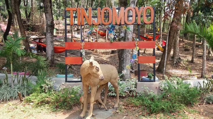 Hutan Tinjomoyo, Hutan Dengan Cerita Mistis Di Dalamnya