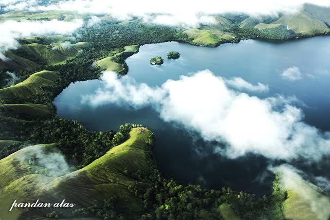 Aneh, Ikan Hiu Muncul !! Pasca Banjir Bandang Di Sentani Papua. 