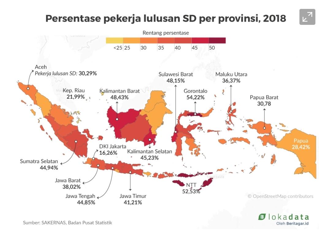 Pekerja Indonesia didominasi lulusan SD