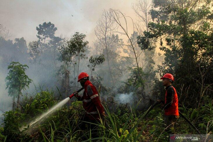 Kebakaran Riau Meluas Hingga Mencapai 2.719 Hektare!