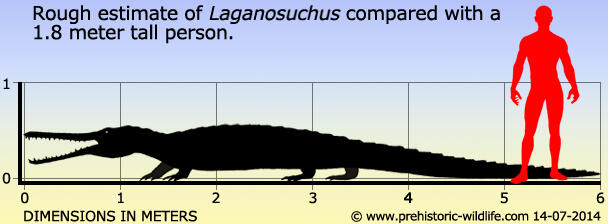 Top 11 Buaya Super yang Udah Hidup Bebarengan sama Dinosaurus