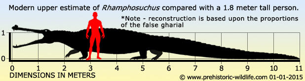 Top 11 Buaya Super yang Udah Hidup Bebarengan sama Dinosaurus