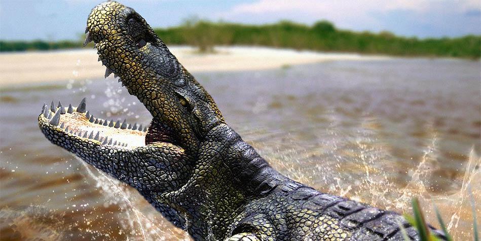 Top 11 Buaya Super yang Udah Hidup Bebarengan sama Dinosaurus