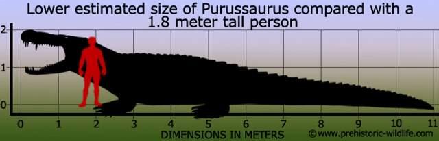 Top 11 Buaya Super yang Udah Hidup Bebarengan sama Dinosaurus