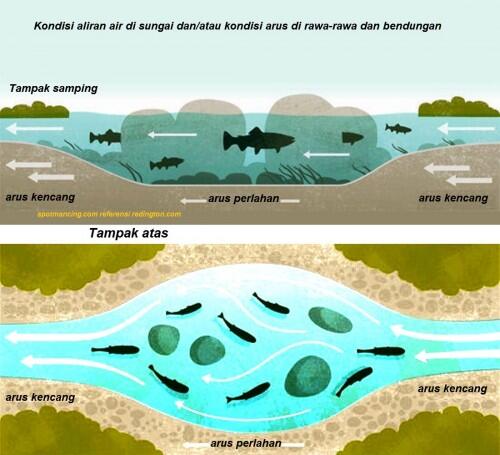 Angler Mania, Mata Kail Dan Keluarga. Apa Yang Agan Pikirkan?