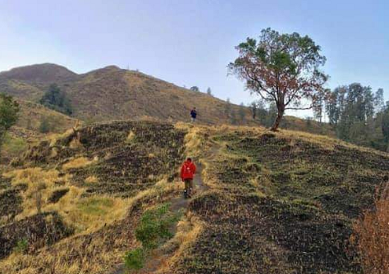 TAMAN NASIONAL TAMBORA