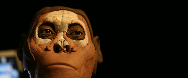 Rekonstruksi Wajah Kera Purba Dari Genus Homo