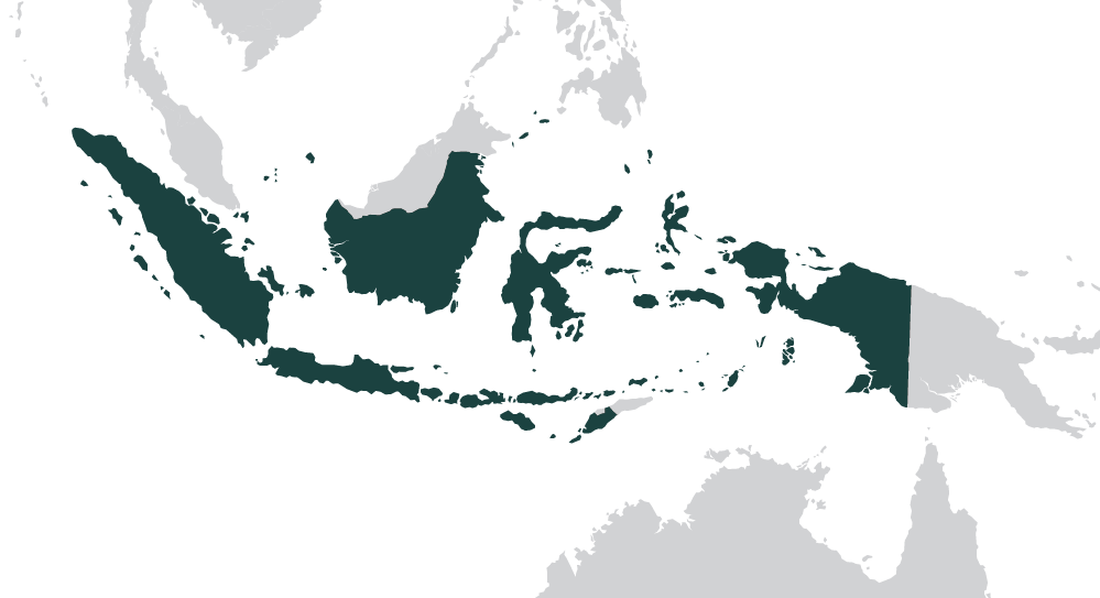 Seperti Gimana ya Bentuk Indonesia Kalau Bumi Hanya Punya Satu Daratan Saja?