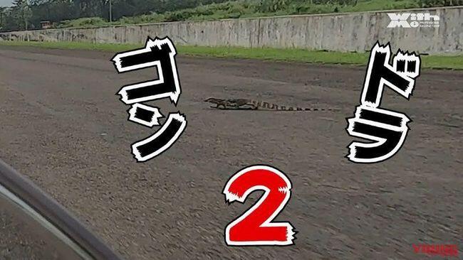Viral 'FOTO PENAMPAKAN' Di Sirkuit Sentul Ini Bikin Rider Asal Jepang Kaget!