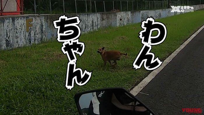 Viral 'FOTO PENAMPAKAN' Di Sirkuit Sentul Ini Bikin Rider Asal Jepang Kaget!