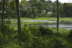 Lokasi Turis Spot di Nauru
