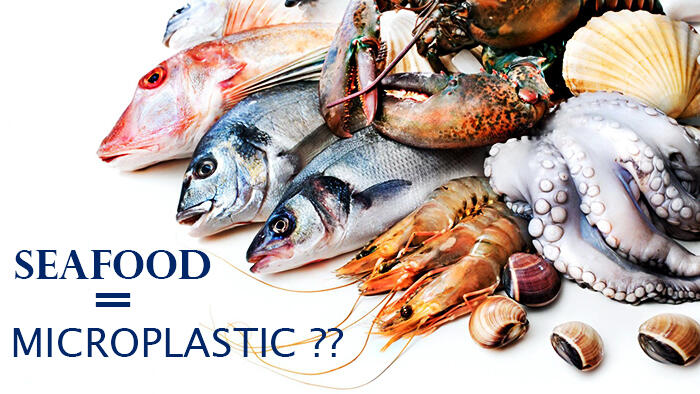 Seafood Tekontaminasi Mikroplastik, Salah Siapa ?