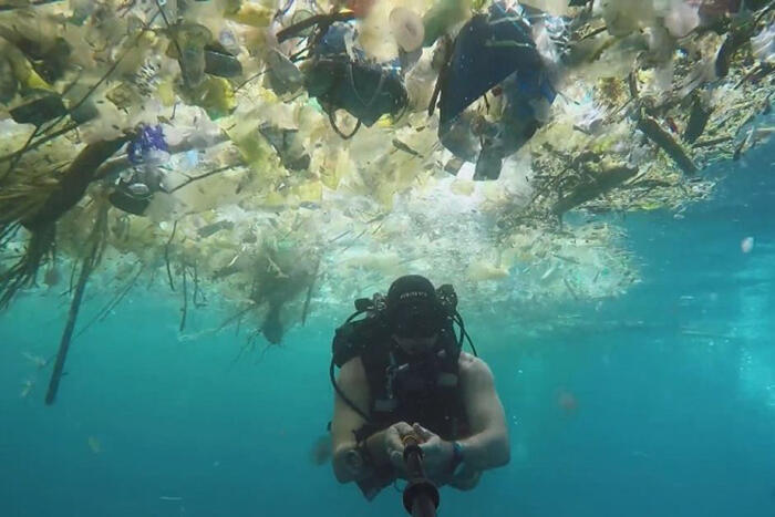 Seafood Tekontaminasi Mikroplastik, Salah Siapa ?